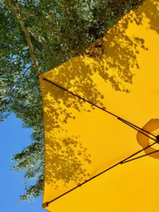 debat citoyen climat action publique climat election municipale 2026